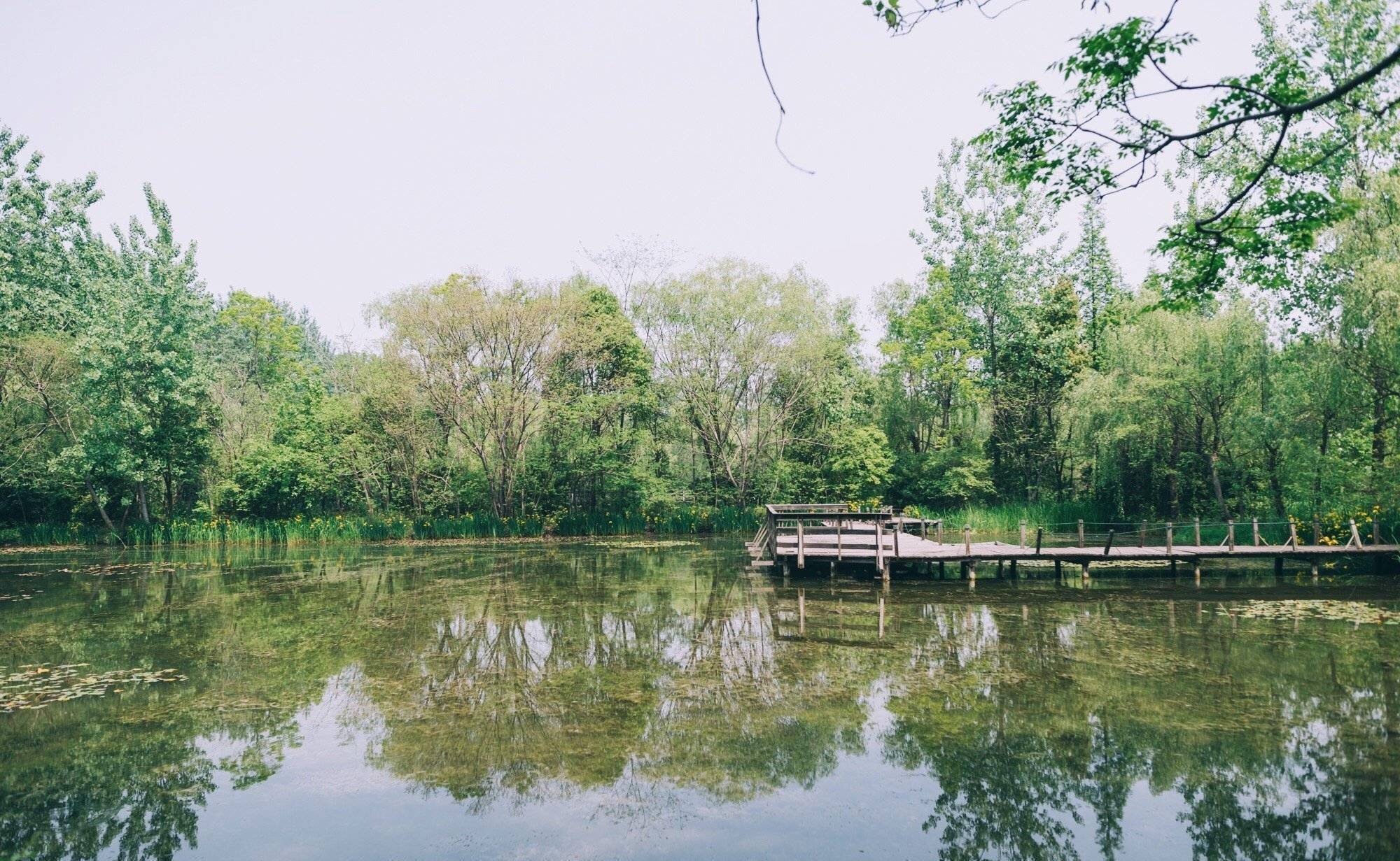 溱湖濕地公園游玩攻略_溱湖濕地公園游記_溱湖濕地公園導(dǎo)游圖