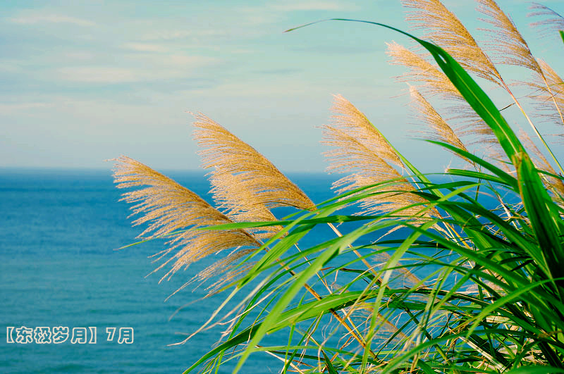【東極島交通】怎么去東極島，東極島交通攻略