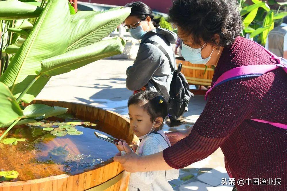 觀賞魚診所_觀賞魚醫院_觀賞魚場