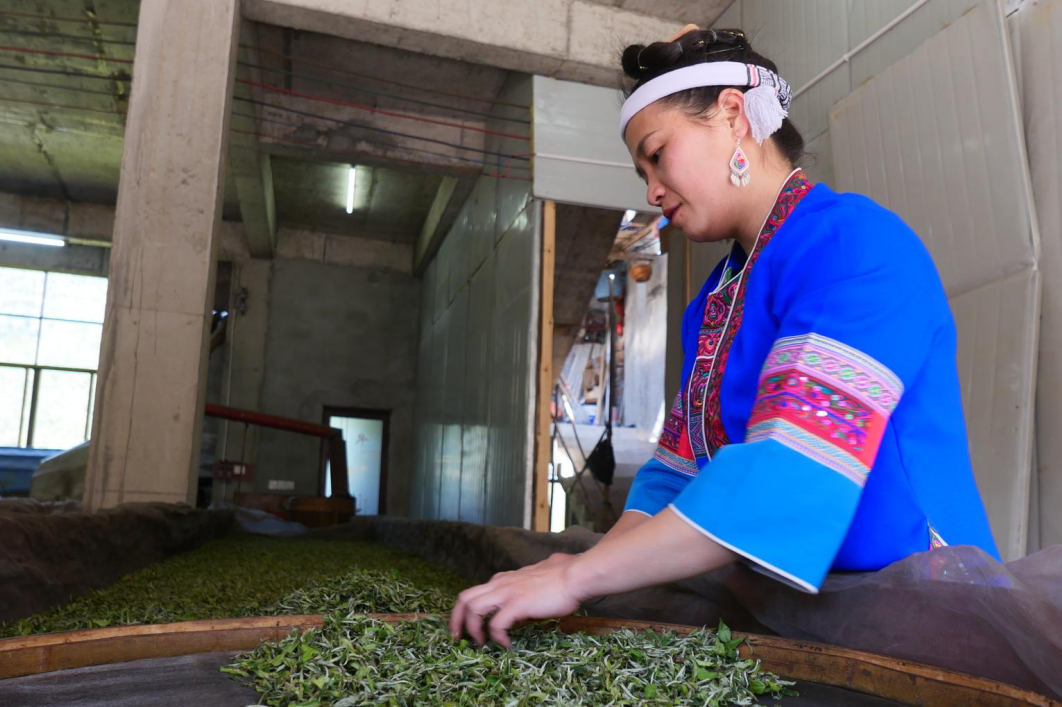 柳州有多少家網站制作公司_柳州大型網站設計公司_柳州網站制作