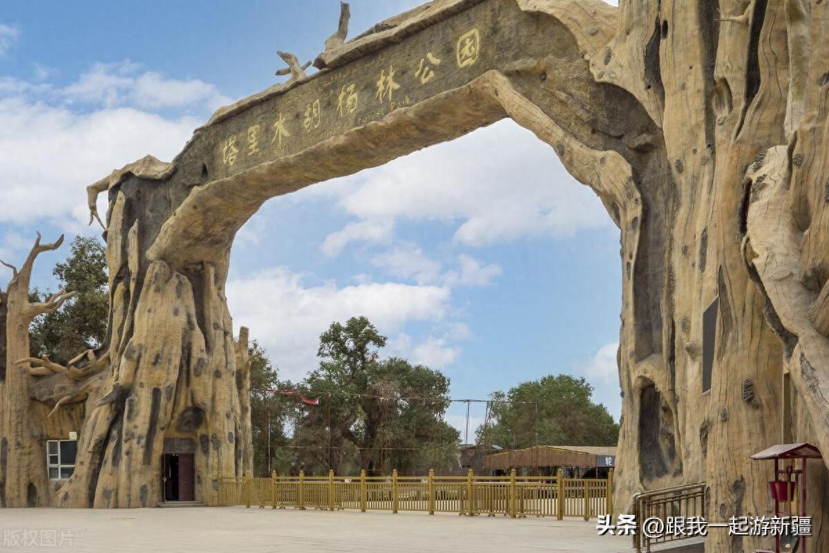 一年只美一次的胡楊，塔里木胡楊林公園游玩攻略來啦！