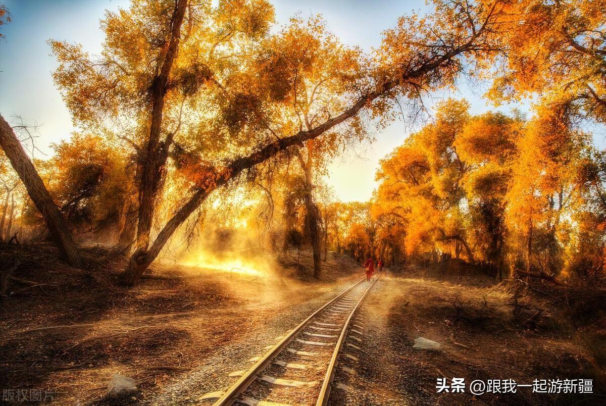 胡楊林旅游路線_胡楊林景區(qū)旅游攻略_胡楊林旅游團(tuán)報(bào)價(jià)