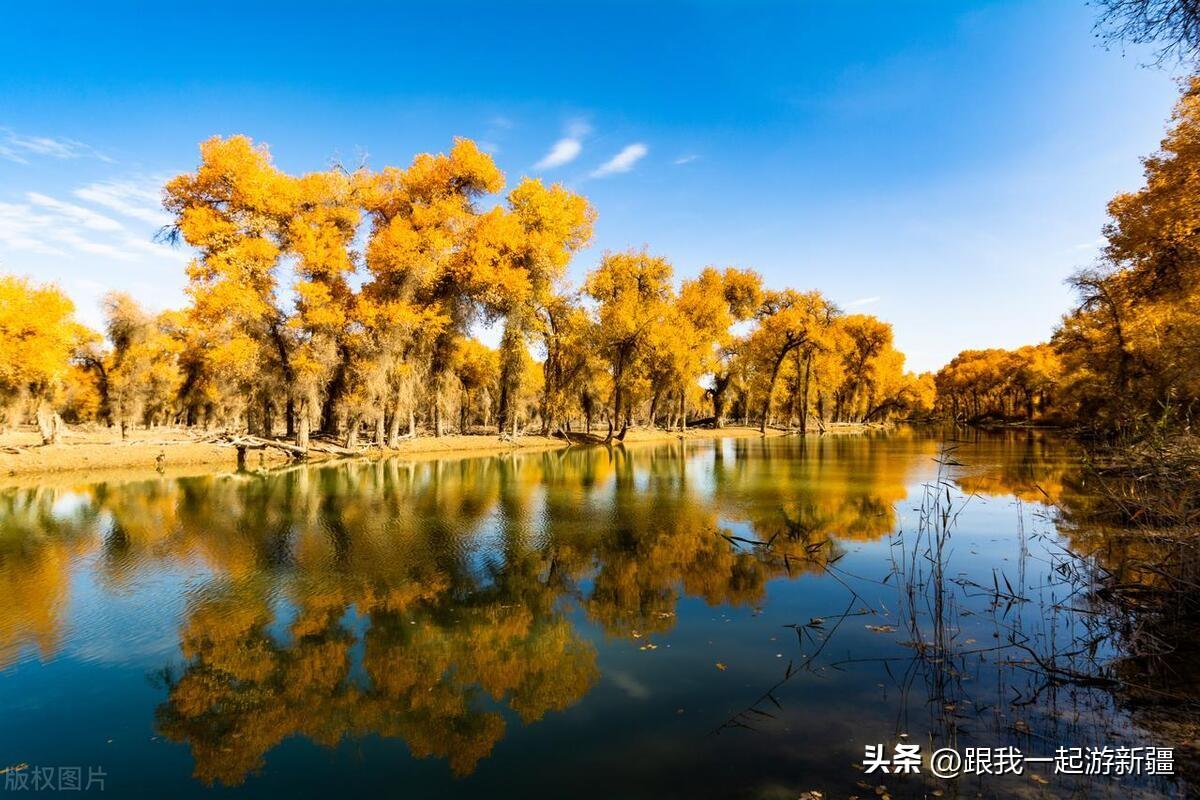 胡楊林景區(qū)旅游攻略_胡楊林旅游路線_胡楊林旅游團(tuán)報(bào)價(jià)