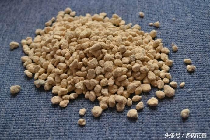 玩轉多肉植物系列，種肉石頭篇，赤玉土是什么土，有什么用呢？