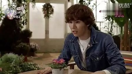 韓劇里的多肉植物在中國坐了過山車，這行水有多深？