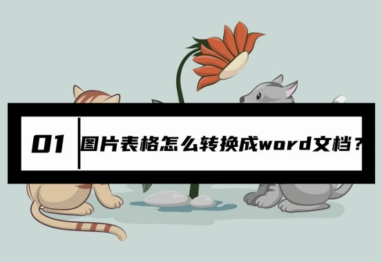 圖片表格怎么轉換成word文檔？教你轉換的4個技巧