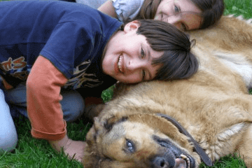 好聽洋氣的狗名字_好聽大全狗洋氣名字兩個字_好聽的狗名字大全洋氣