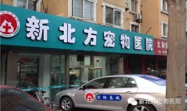 狗狗怎么止咳_治療狗狗咳嗽的最快的藥_狗狗快速止咳方法