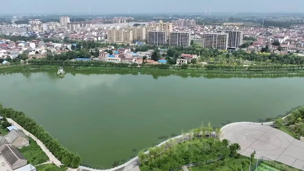 觀賞魚世界_觀賞魚世界的正版尖嘴鱷是_觀賞魚世界鼠魚原生