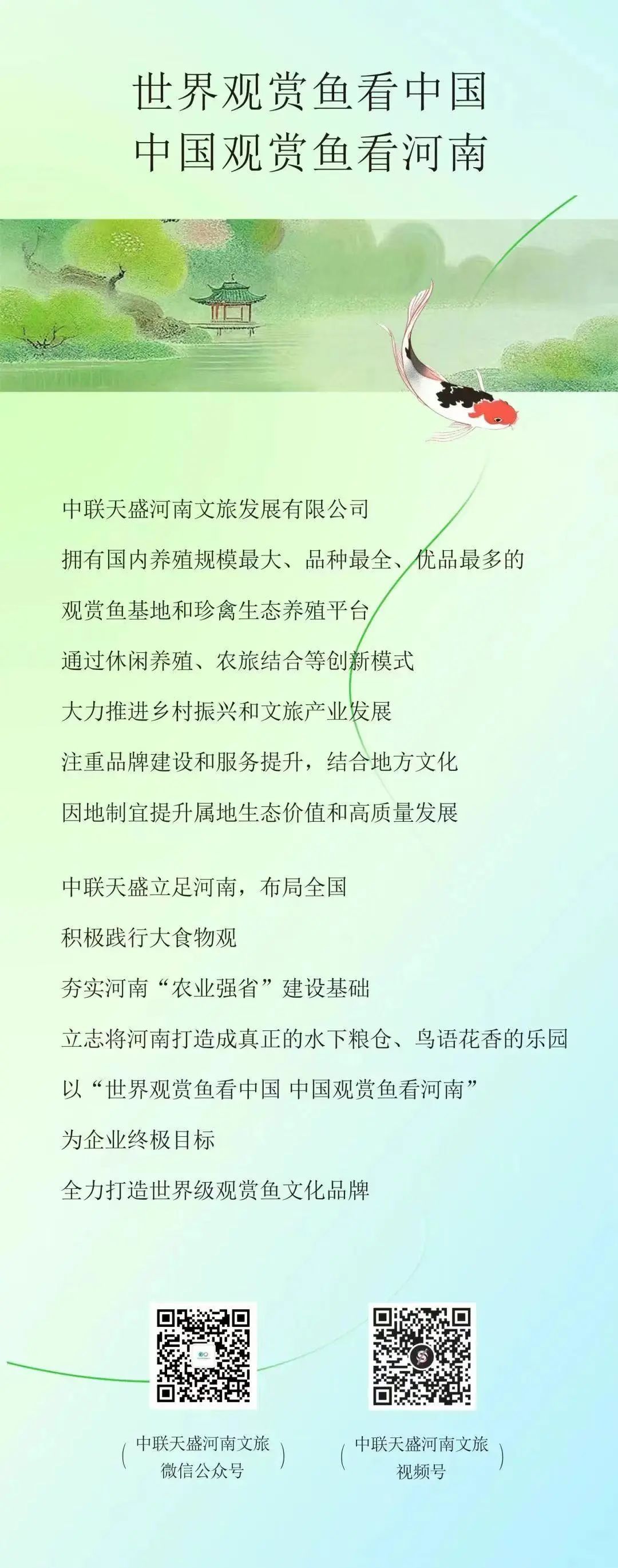 觀賞魚世界鼠魚原生_觀賞魚世界_觀賞魚世界的正版尖嘴鱷是