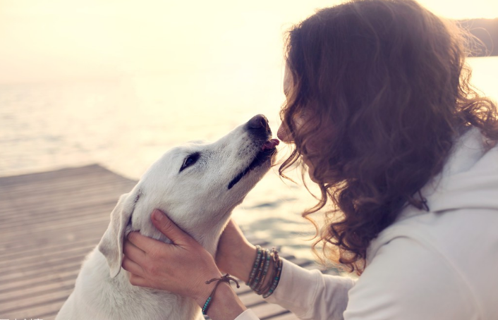 人們說的舔狗是什么意思_舔狗的意思是什么意_狗狗舔人是什么意思啊