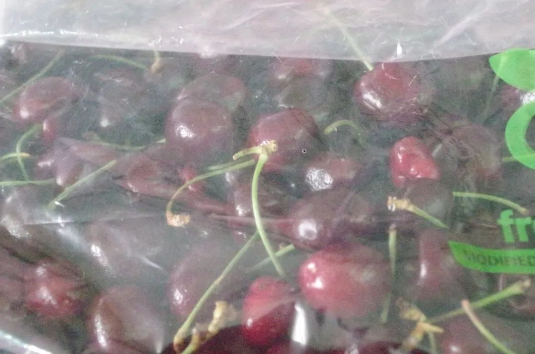 觀賞魚批發市場進貨_批發觀賞魚可以買嗎_哪里可以批發觀賞魚