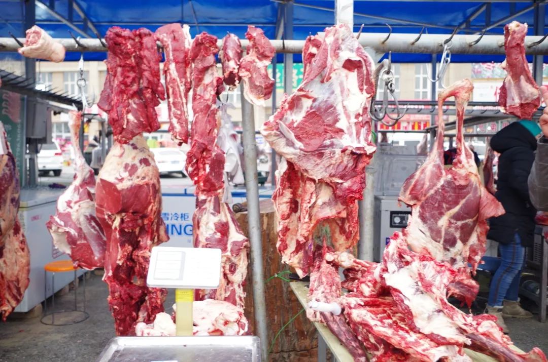 批發觀賞魚可以買嗎_觀賞魚批發市場進貨_哪里可以批發觀賞魚