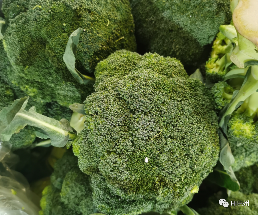 批發觀賞魚可以買嗎_哪里可以批發觀賞魚_觀賞魚批發市場進貨