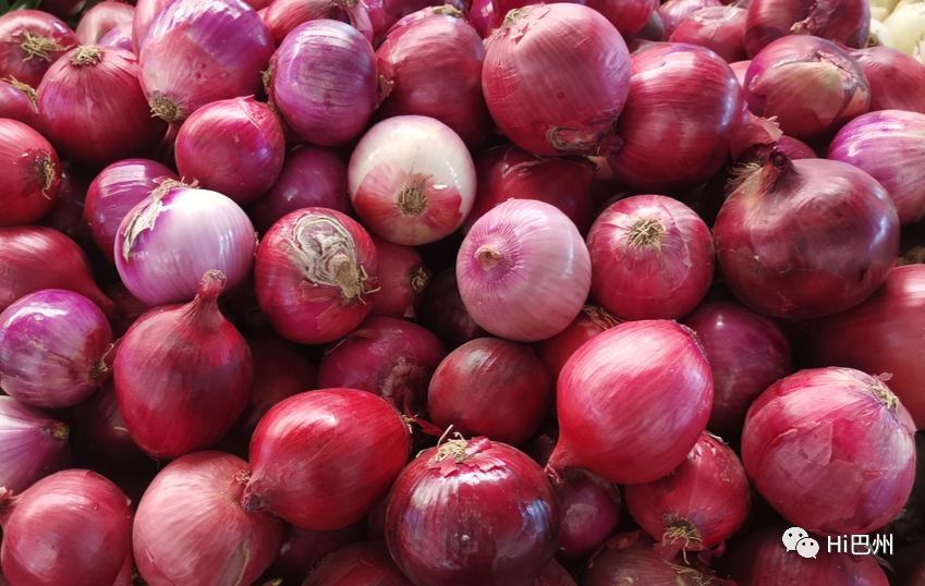 哪里可以批發觀賞魚_批發觀賞魚可以買嗎_觀賞魚批發市場進貨