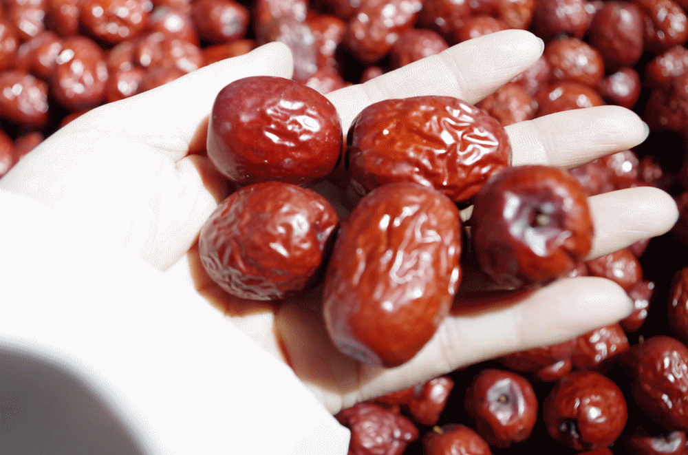 批發觀賞魚可以買嗎_哪里可以批發觀賞魚_觀賞魚批發市場進貨