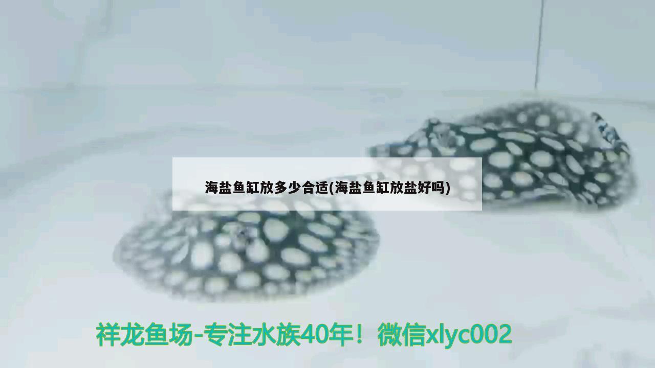 放鹽的魚_鹽放魚缸里多久鹽分消失_觀賞魚鹽怎么放